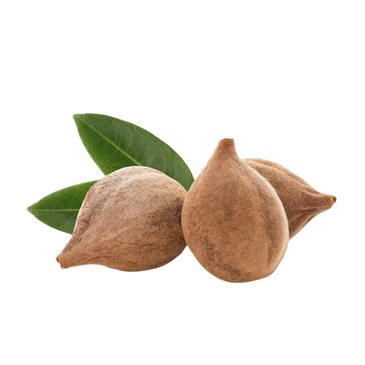 Haritaki