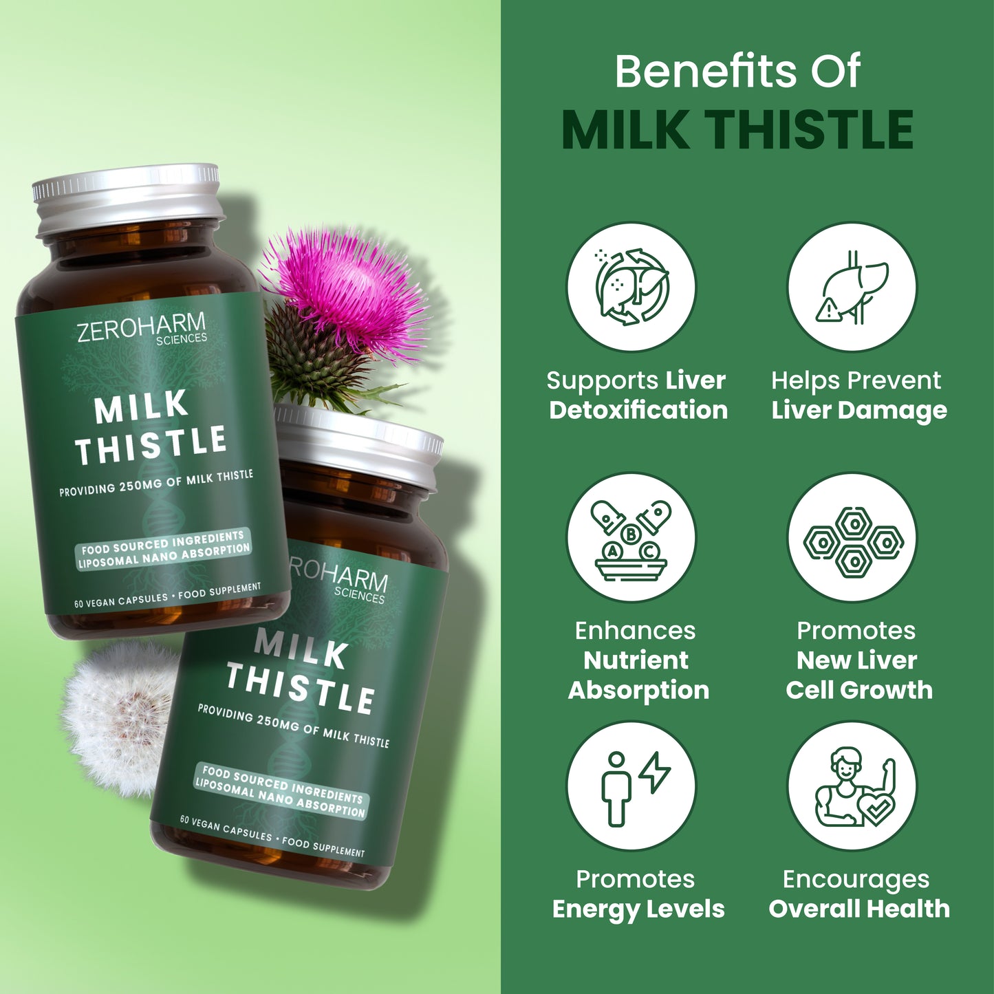 Milk Thistle