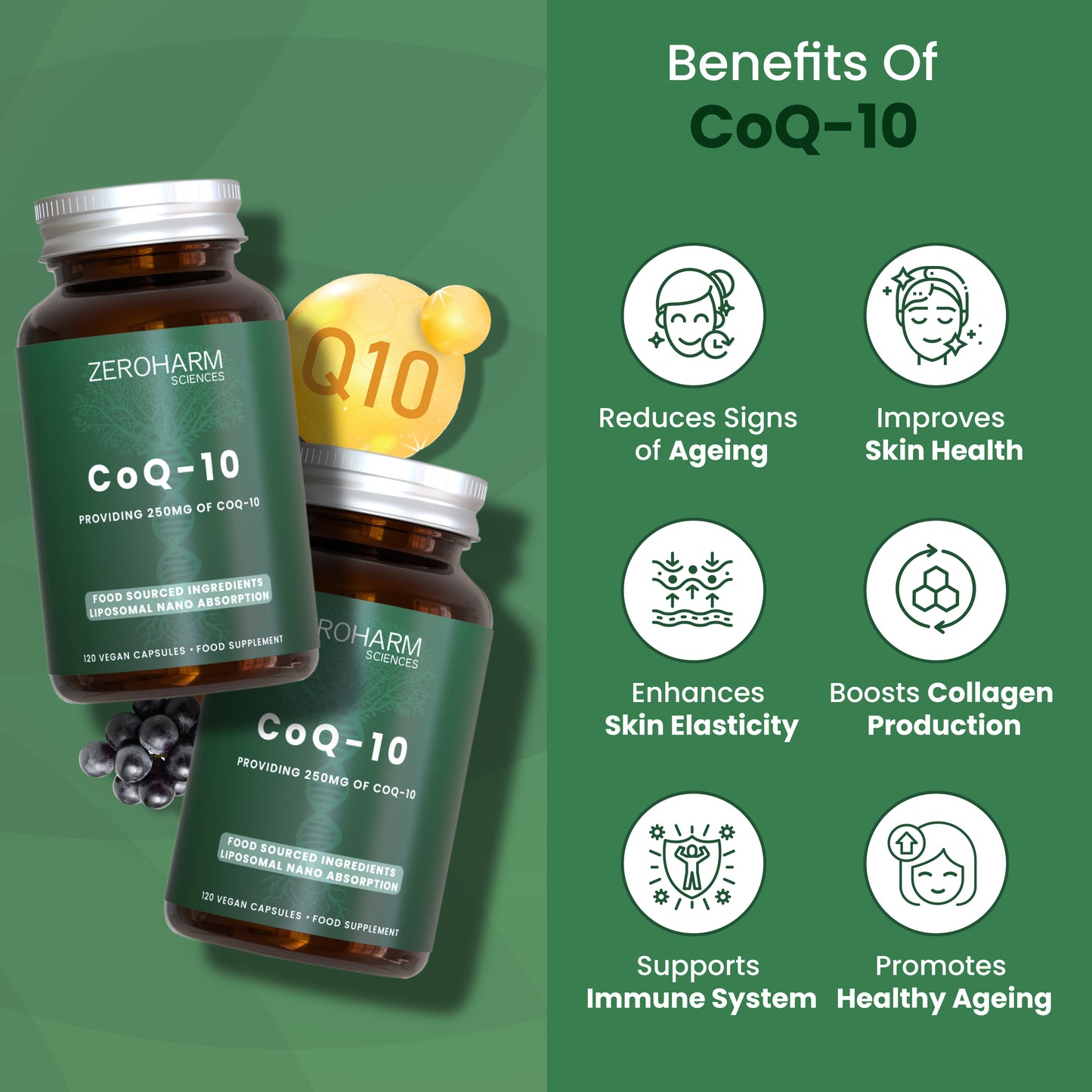 CoQ10
