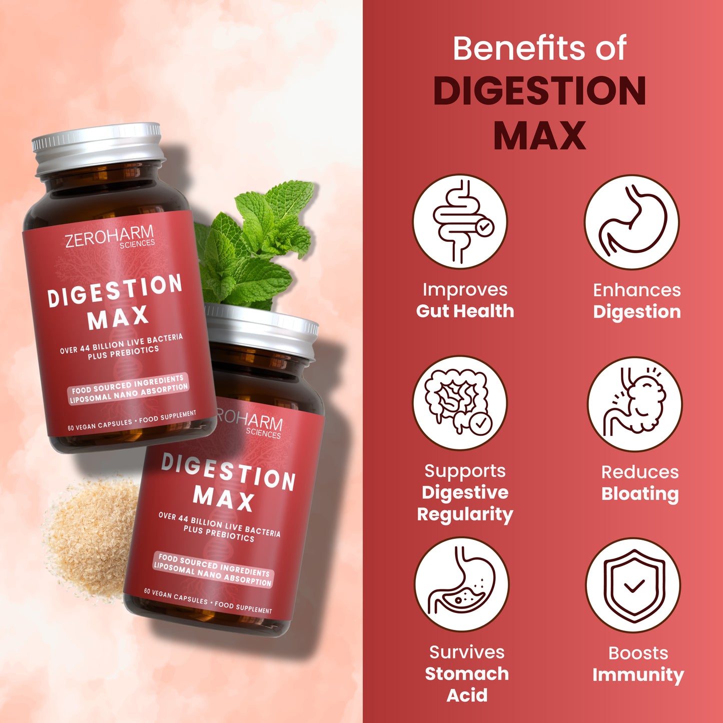 Digestion Max