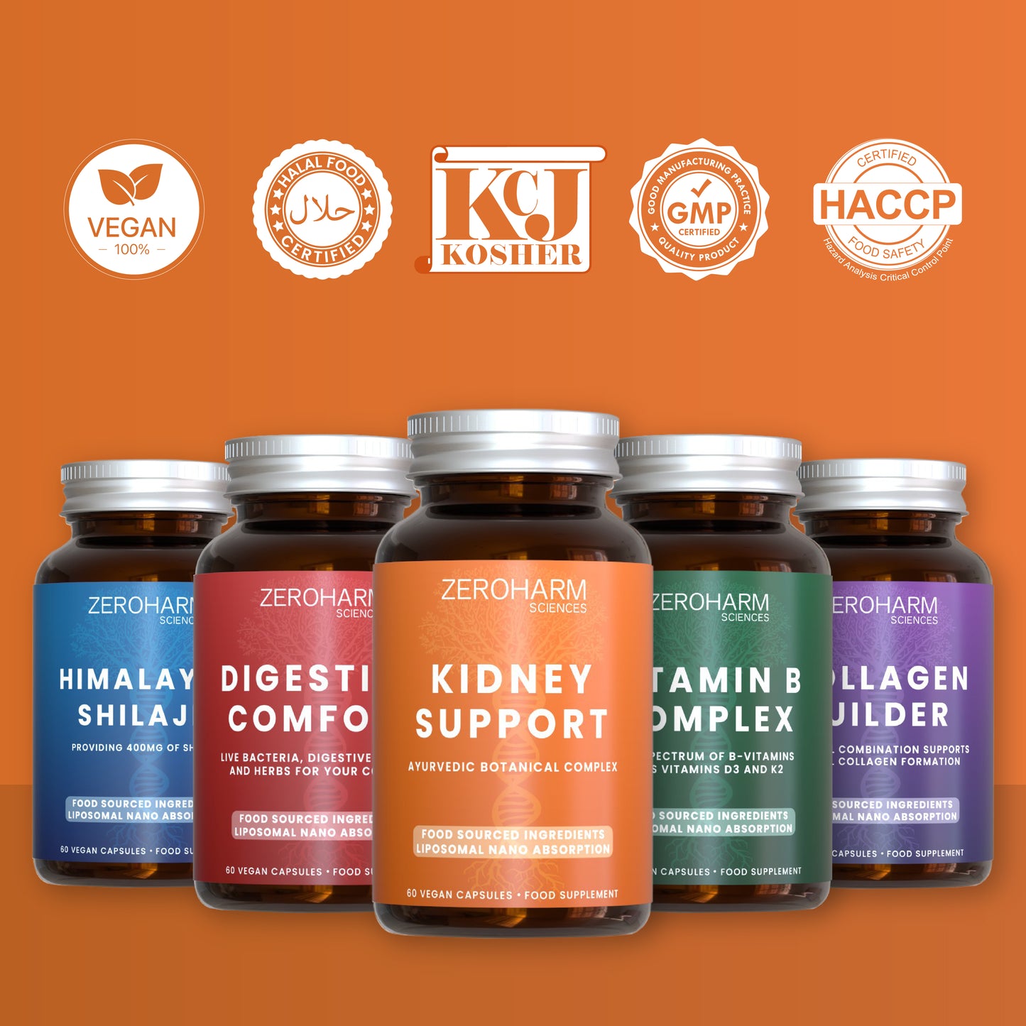 Kidney Support