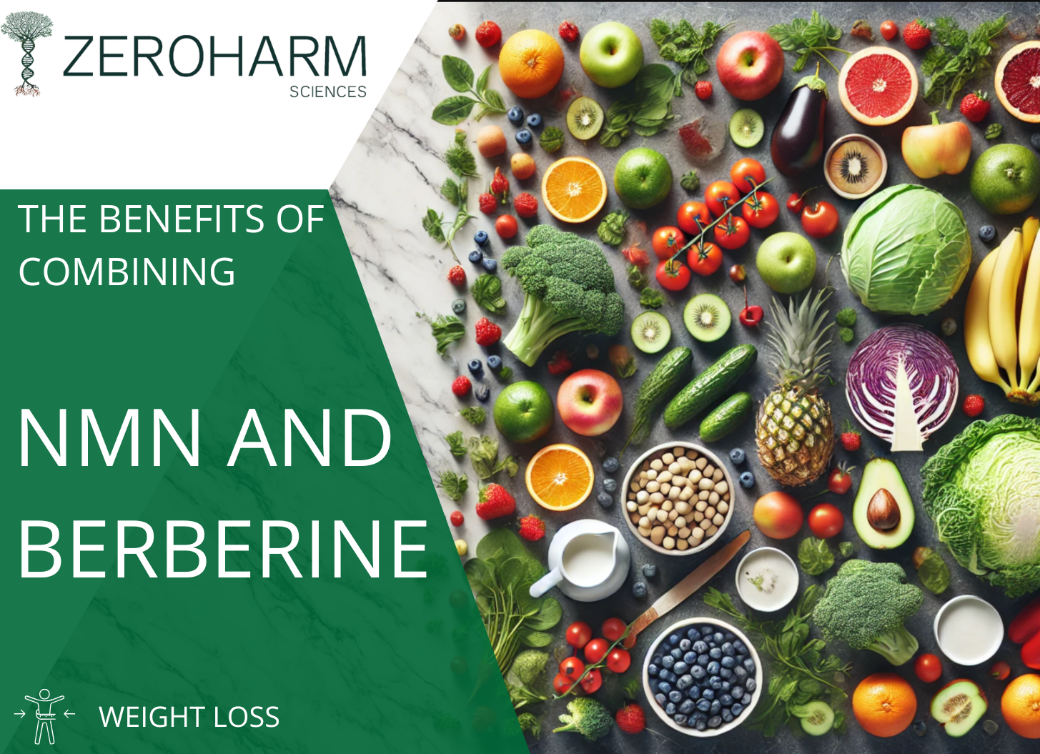 The benefits of combining NMN and Berberine