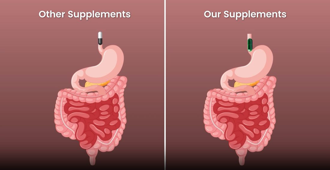 Metabolic Fixer: Balance, Burn, Boost Metabolism