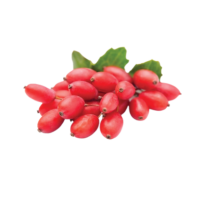 Berberine