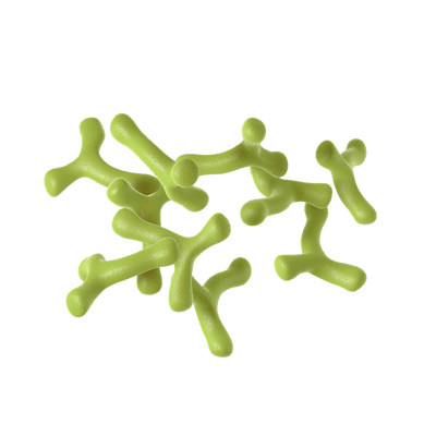 Bifidobacterium Longum