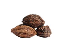 Bibhitaki