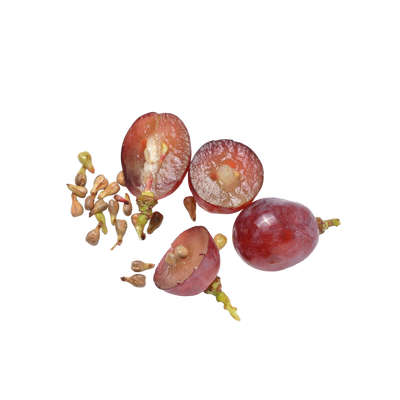 Grape Seed Extract
