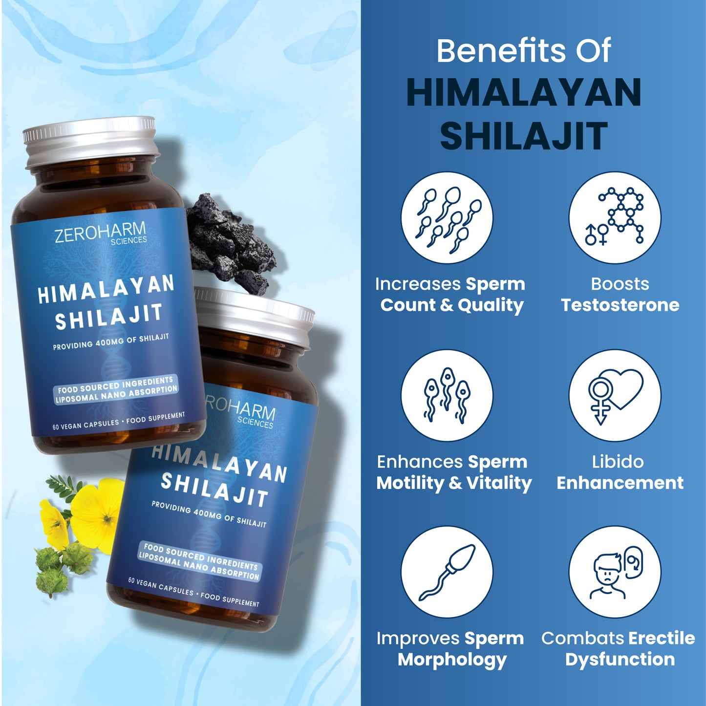 Himalayan Shilajit