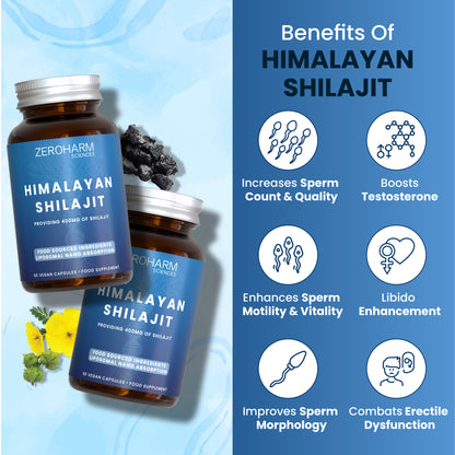 Himalayan Shilajit